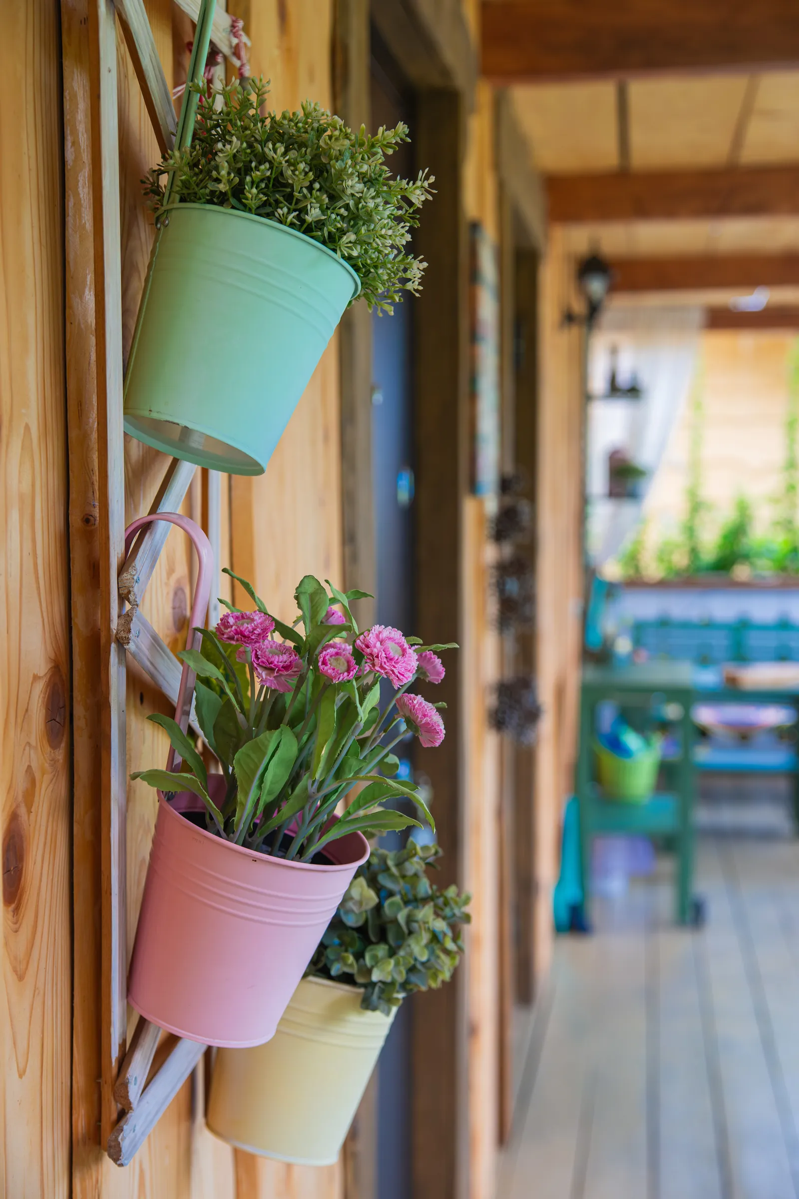 Территория